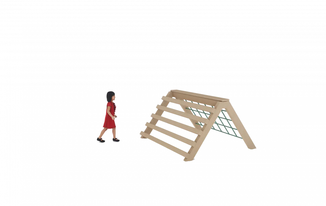 Net ladder combo image 1